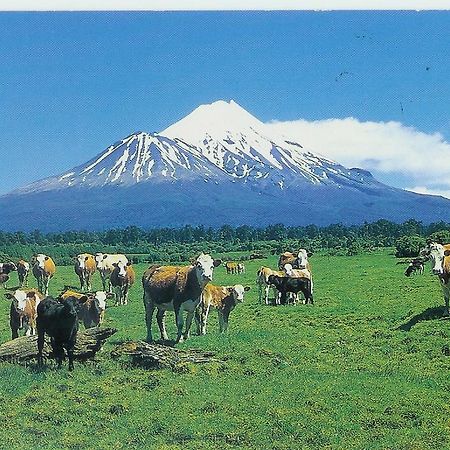 Wheatly Downs Farmstay And Backpackers Hawera Exteriör bild